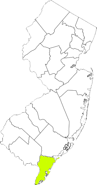 new jersey fire, new jersey firefighters, nj firefighters, nj fire, new jersey fire department, cape may county, cape may county ems, cape may county fire apparatus, cape may county fire departments
