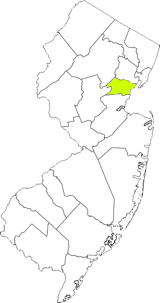new jersey fire, new jersey firefighters, nj firefighters, nj fire, new jersey fire department, union county, union county ems, union county fire apparatus, union county fire departments